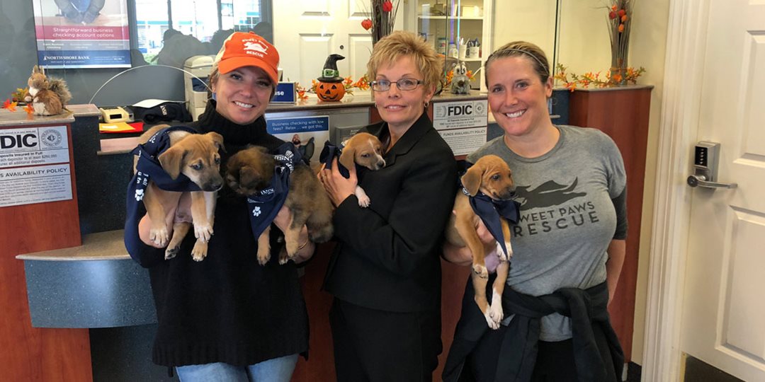 North Shore Bank employees donate $1,226 in Jeans Day Dollars to Sweet Paws Rescue in Groveland, Massachusetts